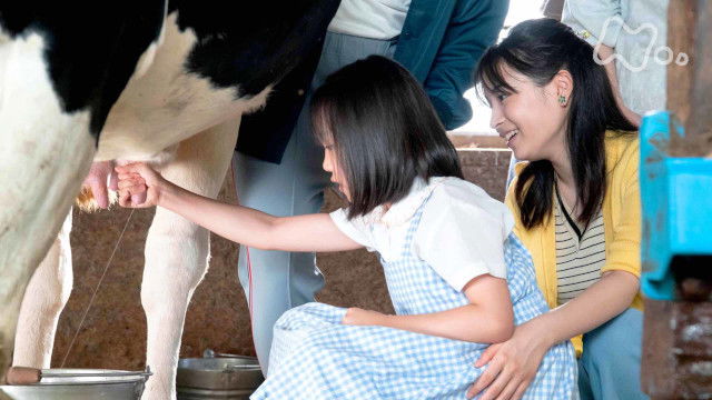 Still image for Natsuzora season 1 episode 154: Episode 154 Still image for Natsuzora season 1 episode 154: Episode 154