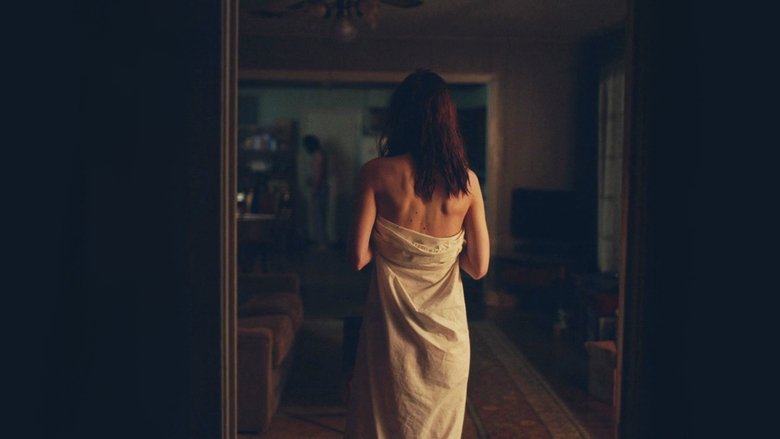 A Ghost Story (2017)