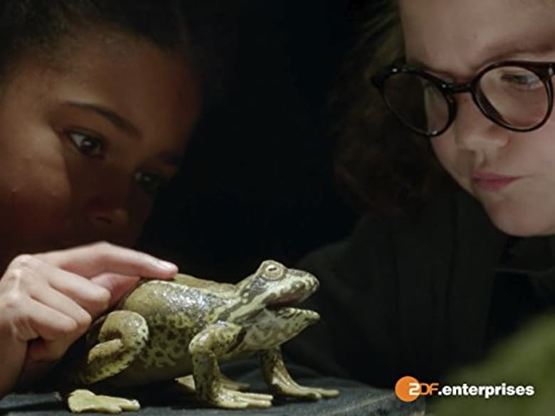 Still image for The Worst Witch season 1 episode 5: Pond Life