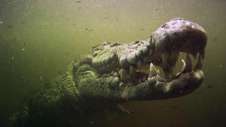 Still image for The Great Barrier Reef: A Living Treasure season 1 episode 2: Coral Coast Still image for The Great Barrier Reef: A Living Treasure season 1 episode 2: Coral Coast