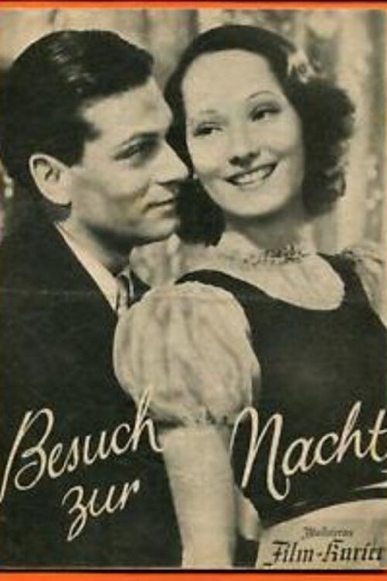 Besuch zur Nacht poster