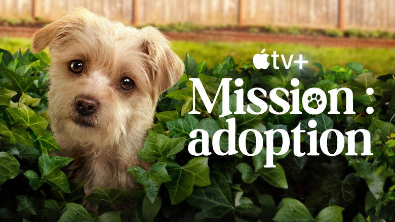 Gallery image from k4l8Epup8Sc1FeCxxTySklAe8mJ.jpg