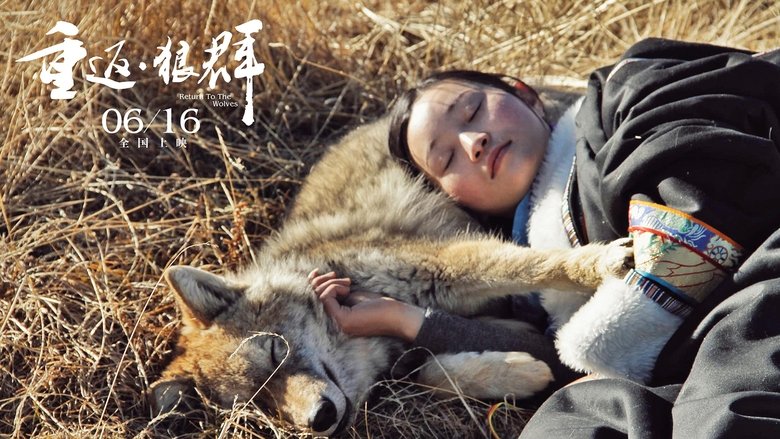 重返·狼群 movie poster