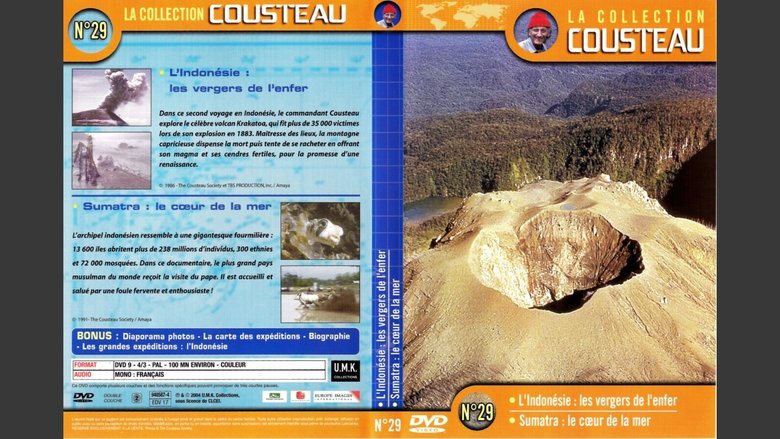 The Cousteau Collection N°35-1 | The Sharks main backdrop