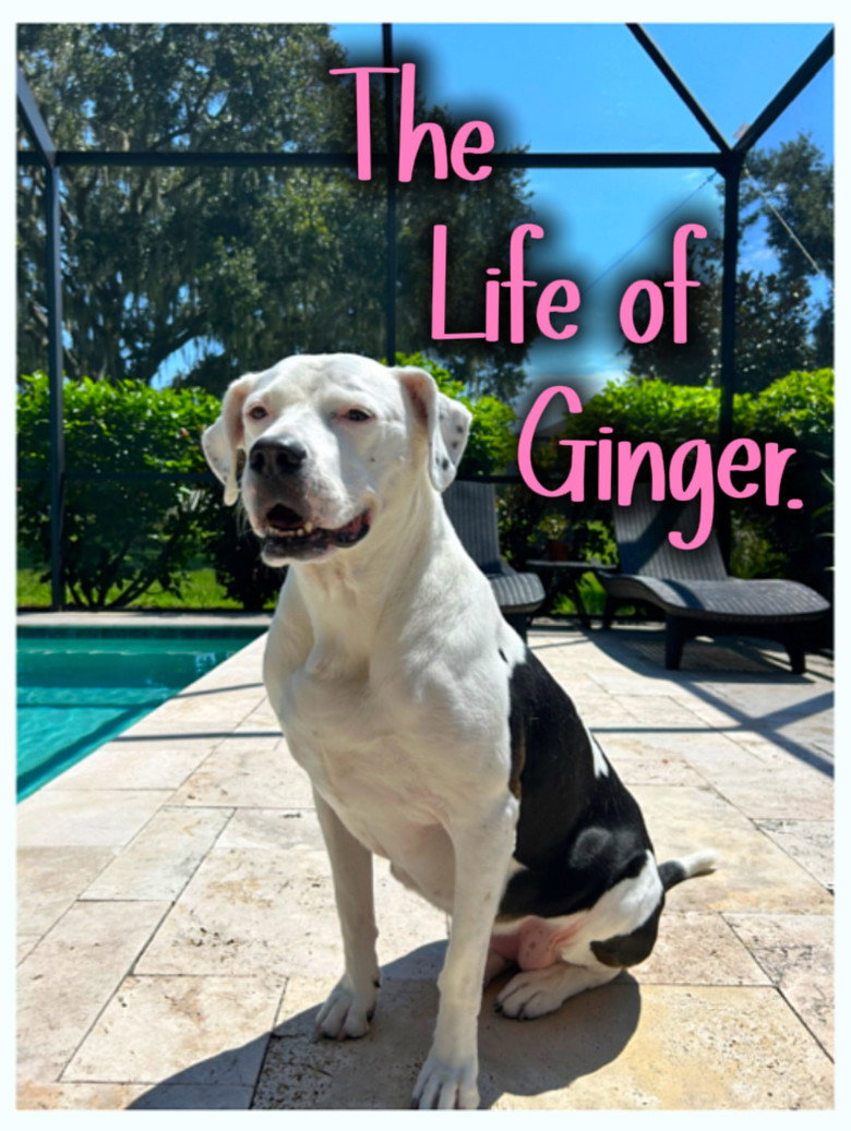 Imatge de The Life of Ginger