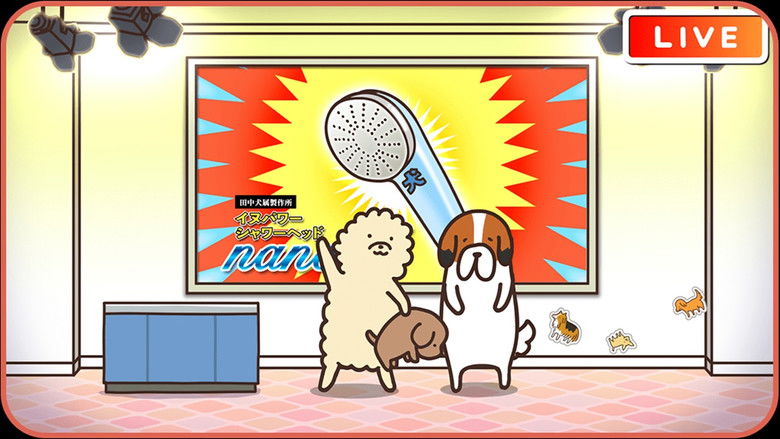 Still image for Harimaware! Koinu season 1 episode 22: Episode 22 Still image for Harimaware! Koinu season 1 episode 22: Episode 22