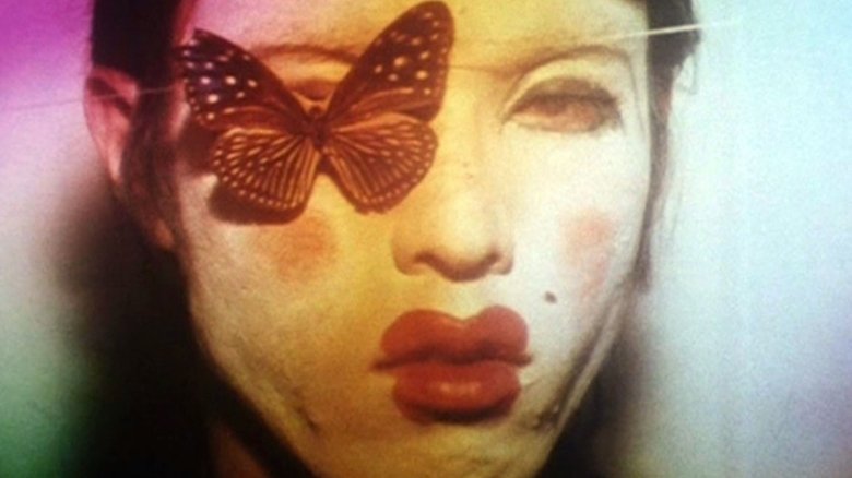 Butterfly main backdrop