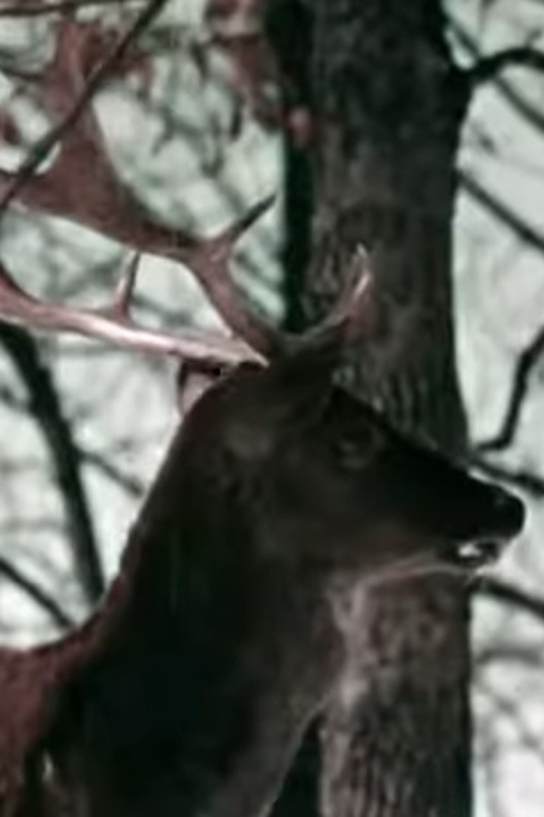 The Christmas Deer background