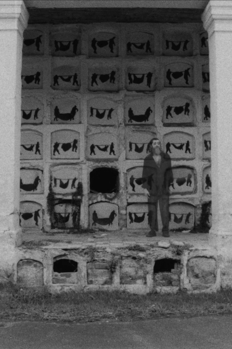 Imatge de Las almas ni los ojos