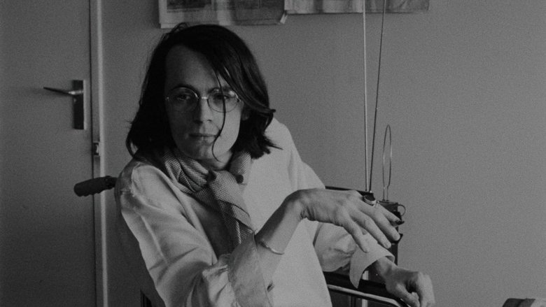 Gallery image from k5qvhqwSdj5cMCVraJgQ3GoejOX.jpg