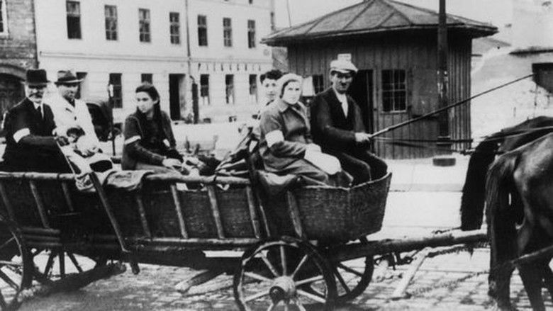 Gallery image from k5yKBleWJw6eUgiOqlwtPnAdyc4.jpg