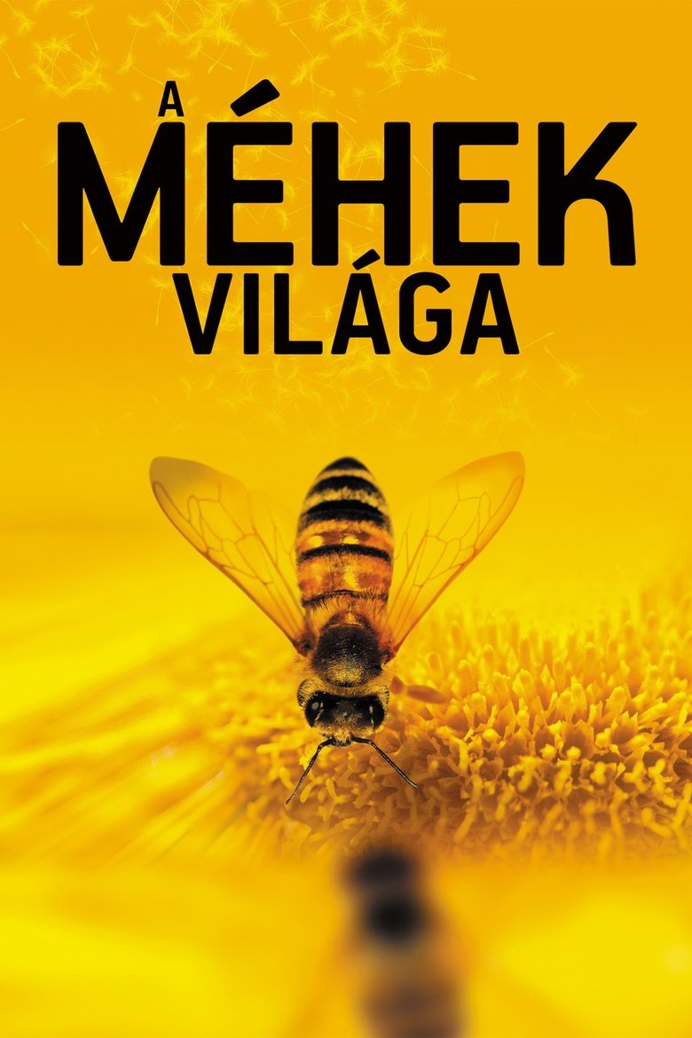 A méhek világa (2012)