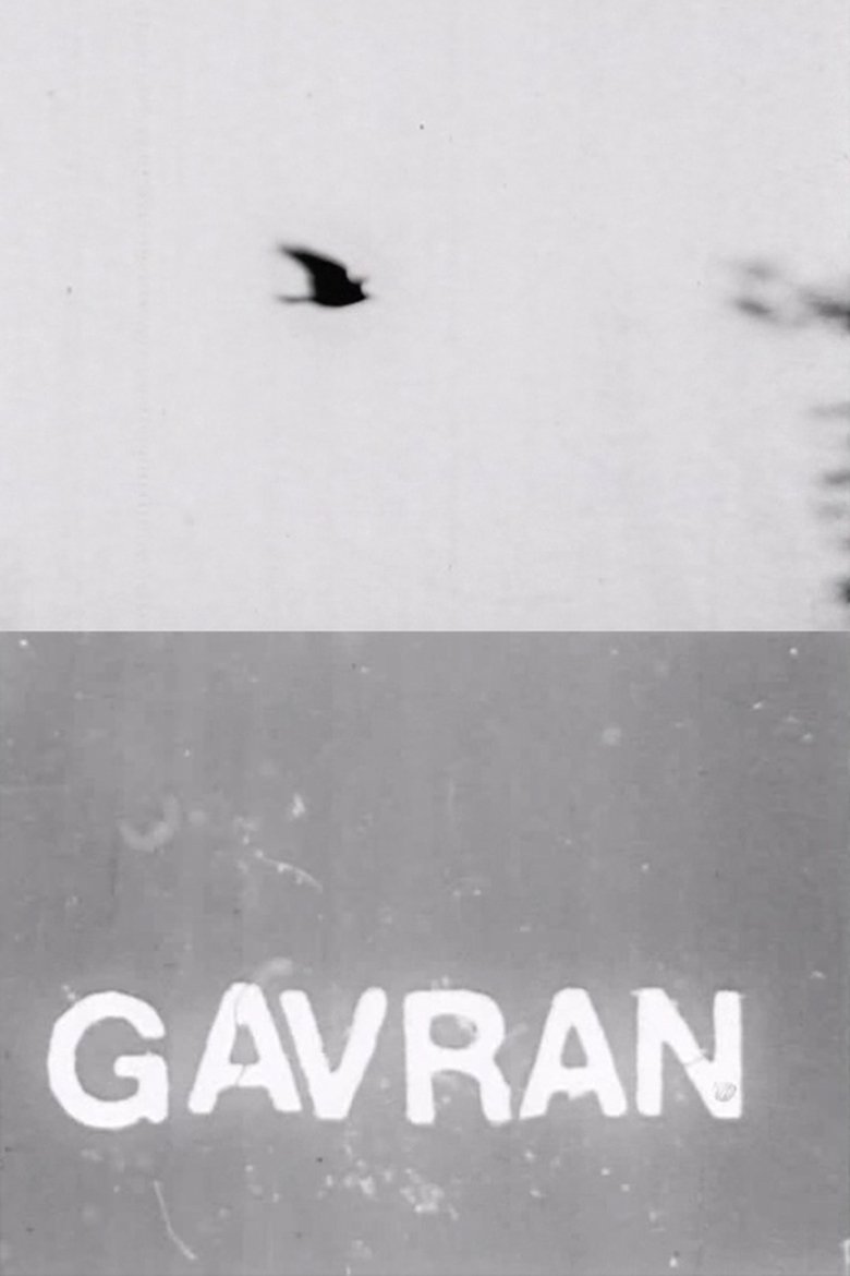 The Raven main poster