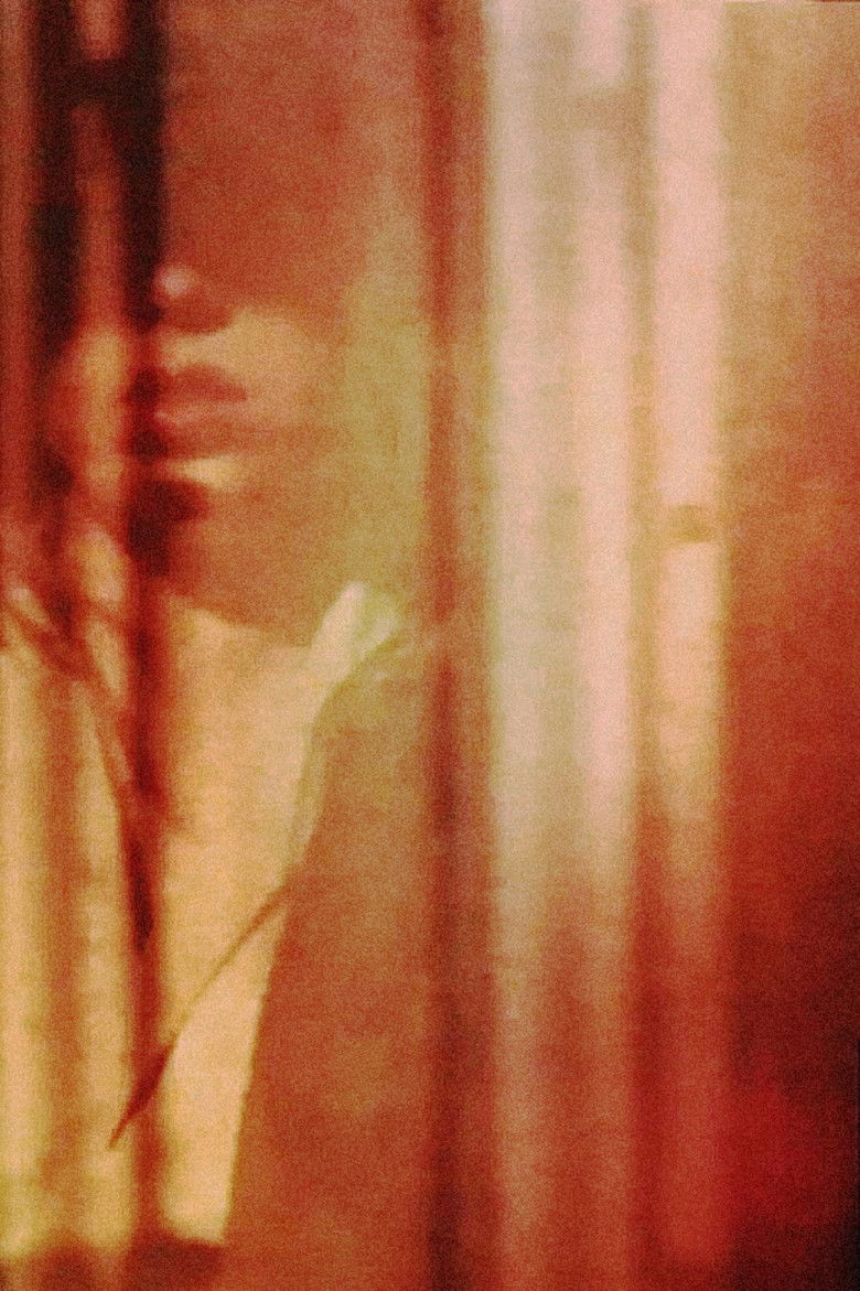 Imatge de I Left My Silent House