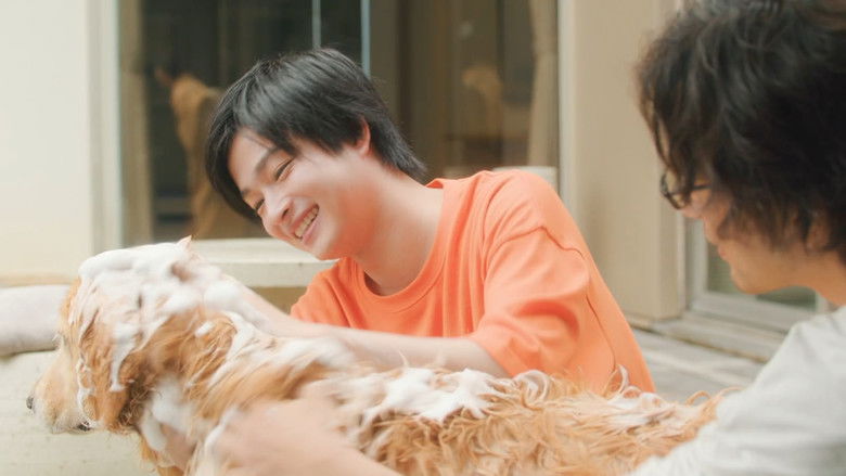 Still image for Two Office Workers Who Are Too Poisonous for One's Eyes season 1 episode 19: Episode 19 Still image for Two Office Workers Who Are Too Poisonous for One's Eyes season 1 episode 19: Episode 19