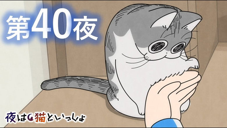 Still image for Nights with a Cat season 1 episode 40: Night 40: Wanting to Stop My Cat From Getting In the Way