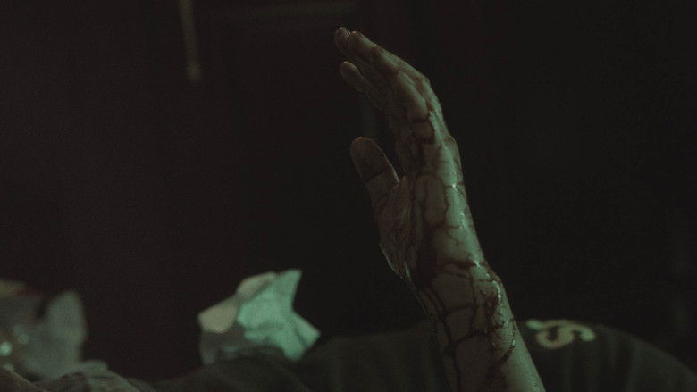 Gallery image from kBIrqExwLsSykTddpLKDi4YIY5n.jpg