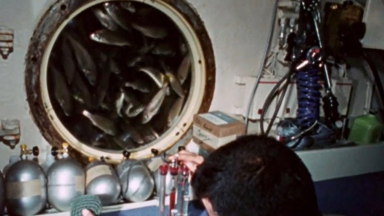 Sealab Photo 3