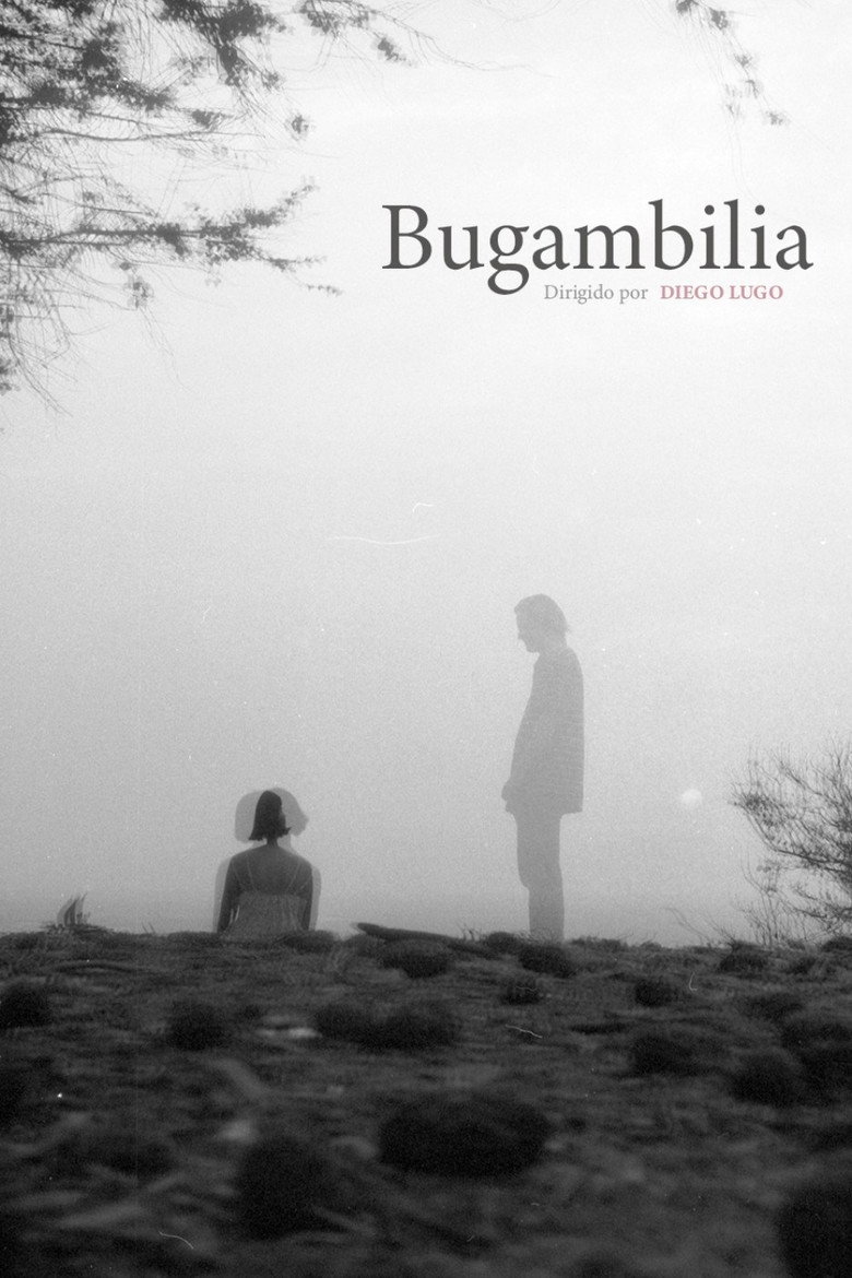 Imatge de Bugambilia