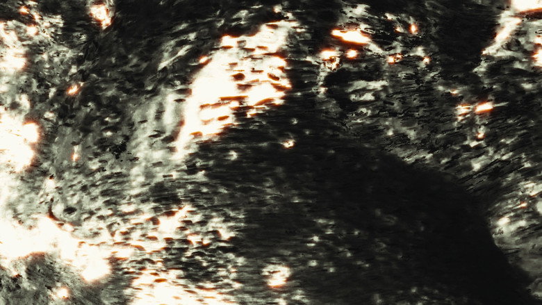 Gallery image from kCZ4pGcNQ2tdQuDoAkQOxRmm7rx.jpg