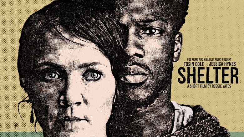 Shelter (2017)
