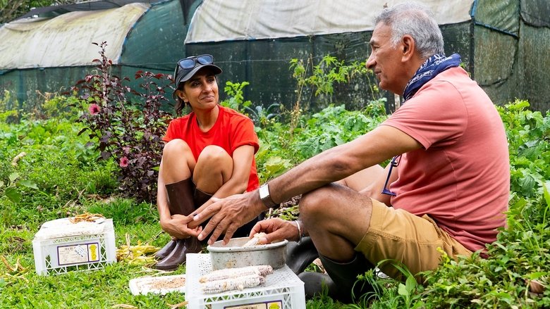 Celebrity Race Across the World 3×4