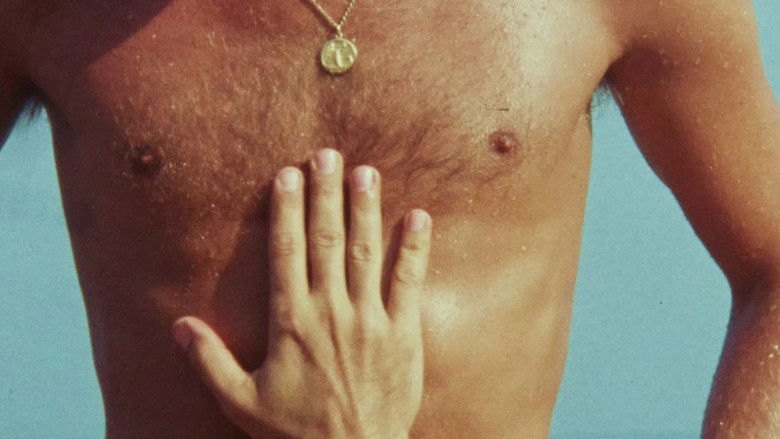 Image d'arrière-plan 6 du film Boys in the Sand