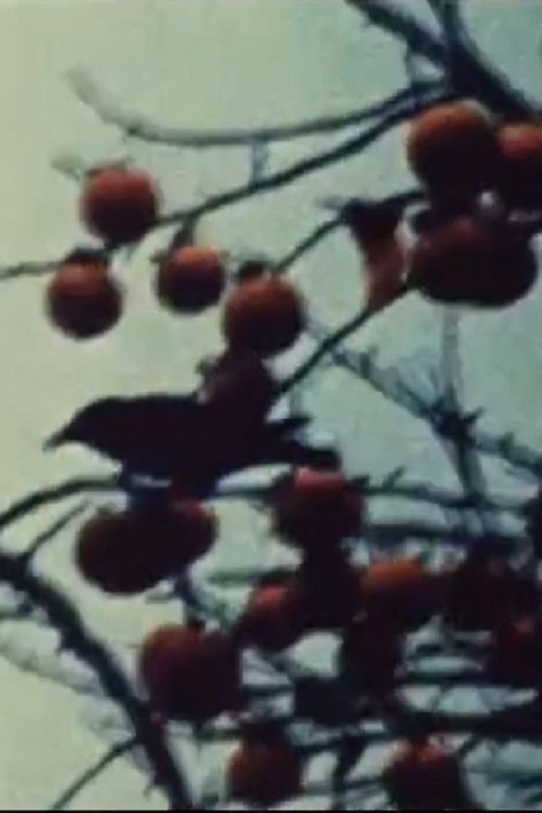 Imatge de Kakibaum III