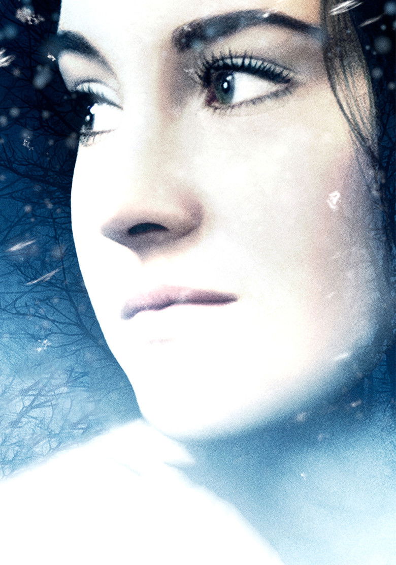 Imatge de White Bird in a Blizzard