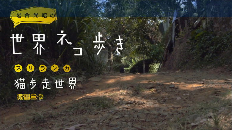 Still image for Mitsuaki Iwago's World “Cats” Travelogue season 1 episode 44: Sri Lanka Still image for Mitsuaki Iwago's World “Cats” Travelogue season 1 episode 44: Sri Lanka