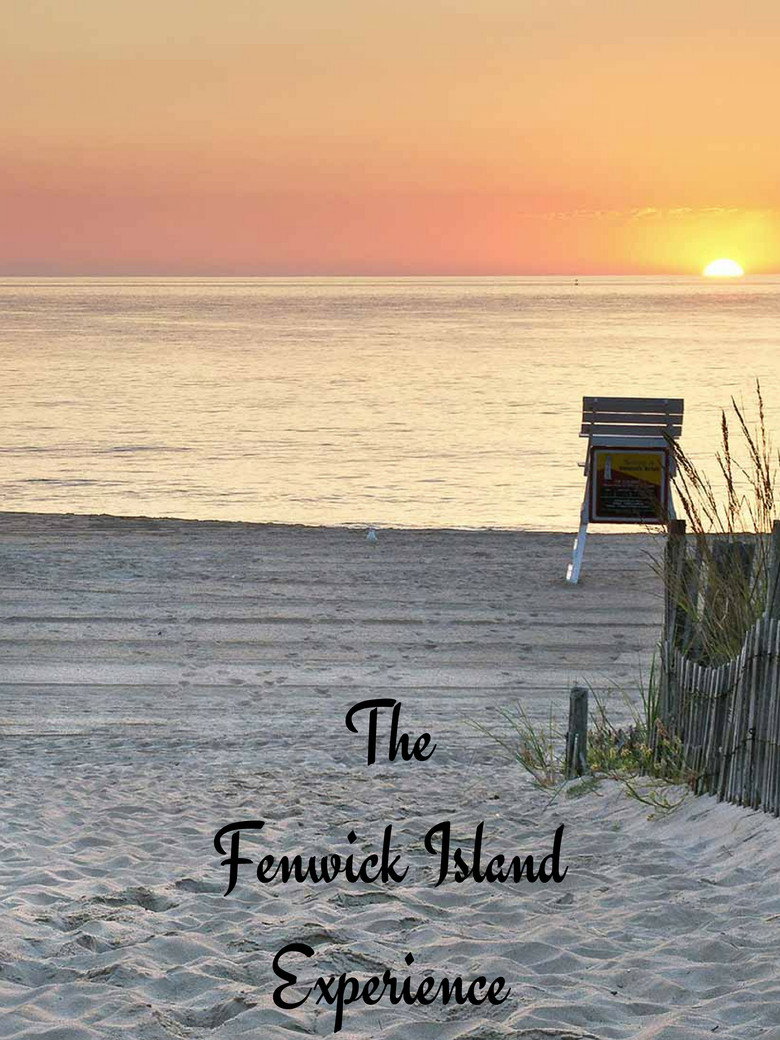 The Fenwick Island Experience background