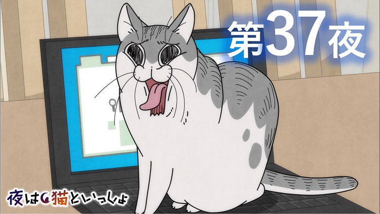 Still image for Nights with a Cat season 1 episode 37: Night 37: Our Cat Always Wants to Get in the Way
