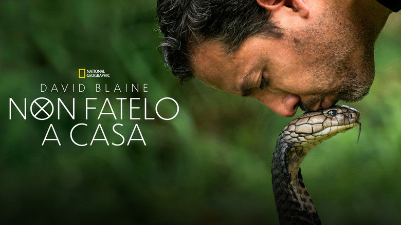 Gallery image from kF6DFC7J19P5YvfVafYBvE6uqP4.jpg