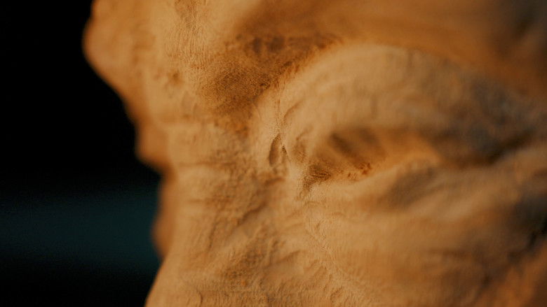 Imatge de The Pulse Beneath the Steel