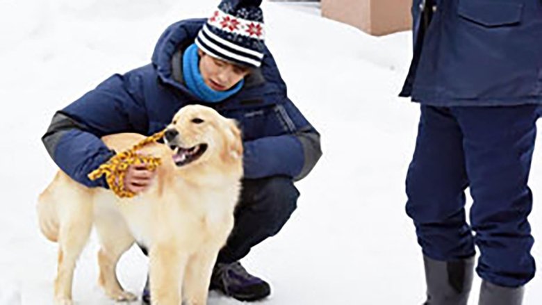 Still image for Unhandy Handyman season 1 episode 6: Episode 6 Still image for Unhandy Handyman season 1 episode 6: Episode 6