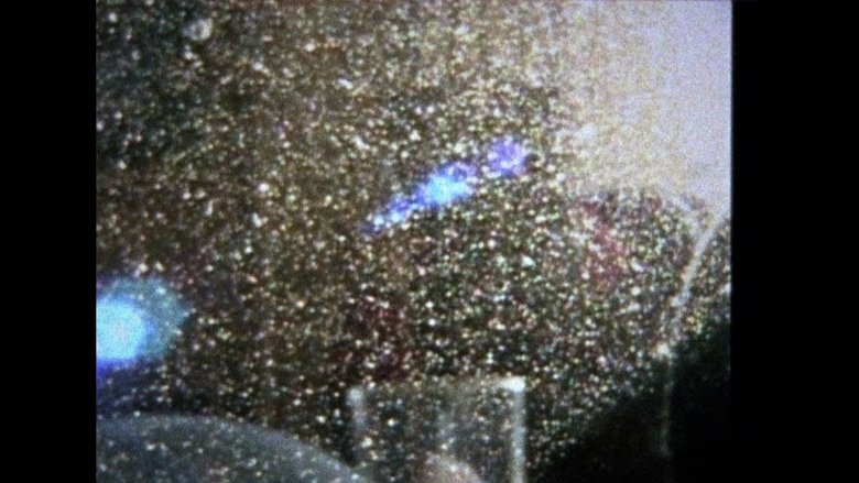 Gallery image from kFop7qtcZflSr6t77WAXV9BwkPS.jpg