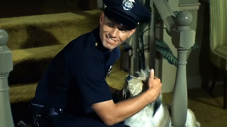 Still image for Adam-12 season 1 episode 12: Log  61: The Runaway Still image for Adam-12 season 1 episode 12: Log  61: The Runaway