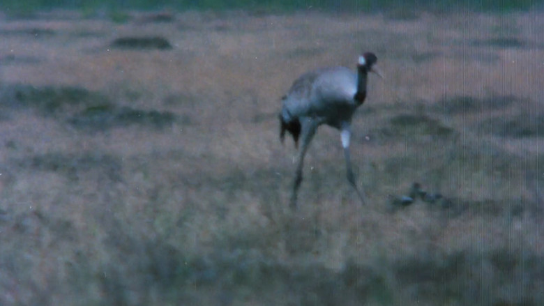 Gallery image from kGAh7wCqp7zCMkS8SOoIsflkmou.jpg