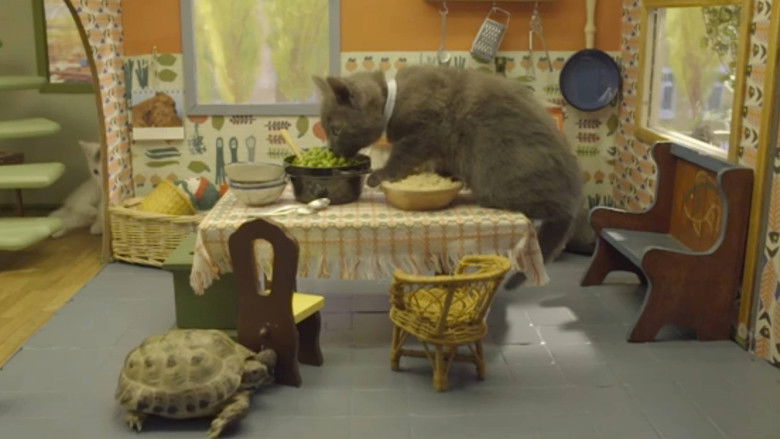 Still image for Poesjes season 1 episode 9: Episode 9 Still image for Poesjes season 1 episode 9: Episode 9