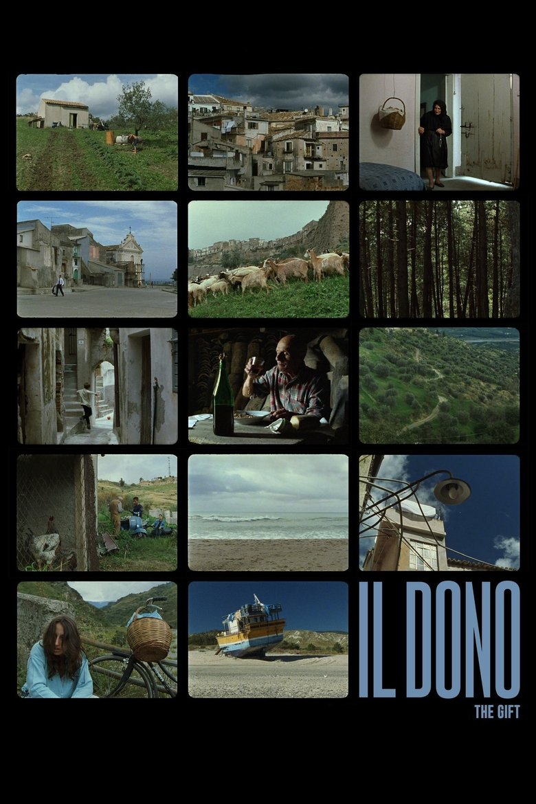 The Gift poster