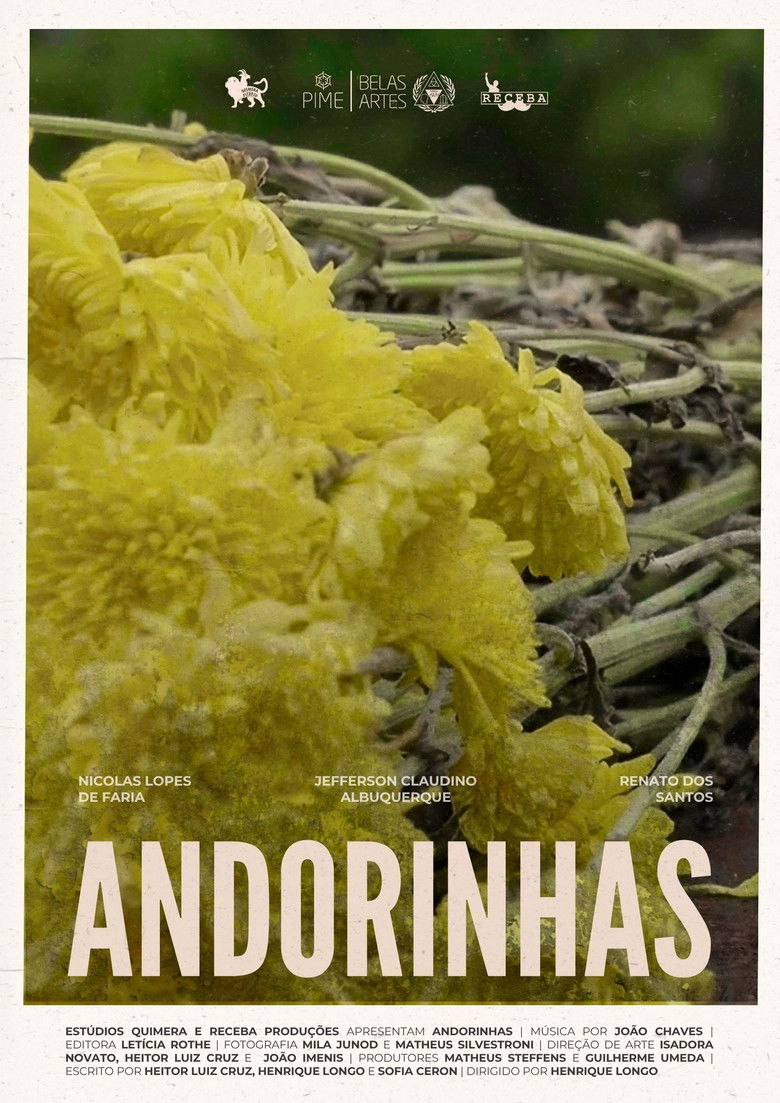 Imatge de Andorinhas