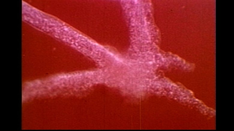 Gallery image from kI6EvmsoKWlRFrC1K7d3NXunIN4.jpg