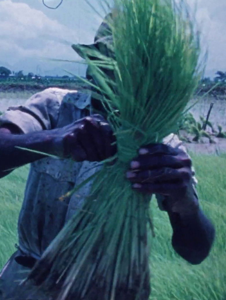 Eastern Airlines: Mer de Antilles