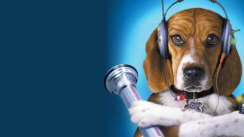 Comme chiens et chats en streaming