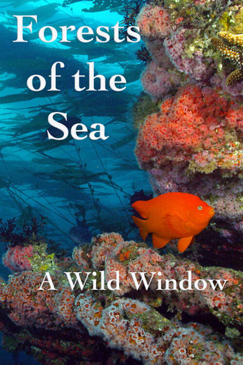 Wild Window: Bosques del Mar background