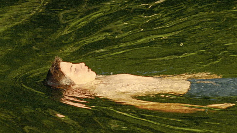 Imatge de Estrany riu