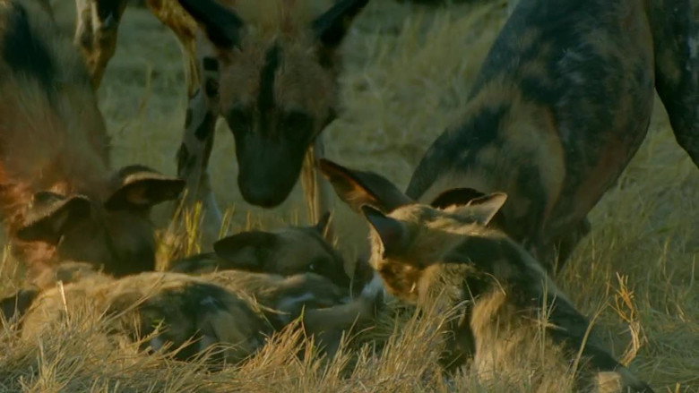 Still from Savage Kingdom - Season 4 Episode 5