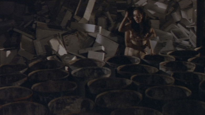 Imatge de ズームアップ　ビニール本の女