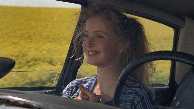 Image d'arrière-plan 1 du film Homo Faber