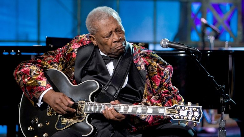 B.B. King - The Blues Sounds of B.B. King movie poster